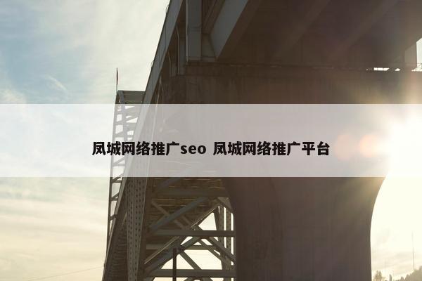 凤城网络推广seo 凤城网络推广平台