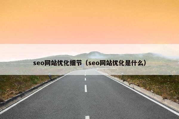 seo网站优化细节（seo网站优化是什么）