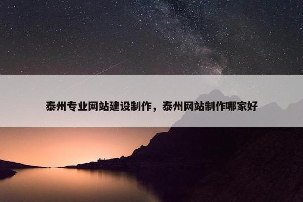 泰州专业网站建设制作，泰州网站制作哪家好