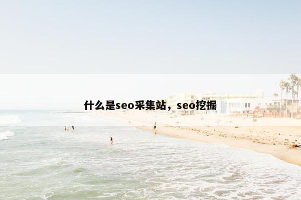 什么是seo采集站，seo挖掘