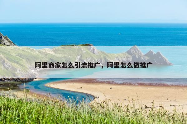 阿里商家怎么引流推广，阿里怎么做推广