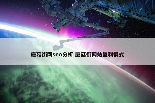 蘑菇街网seo分析 蘑菇街网站盈利模式