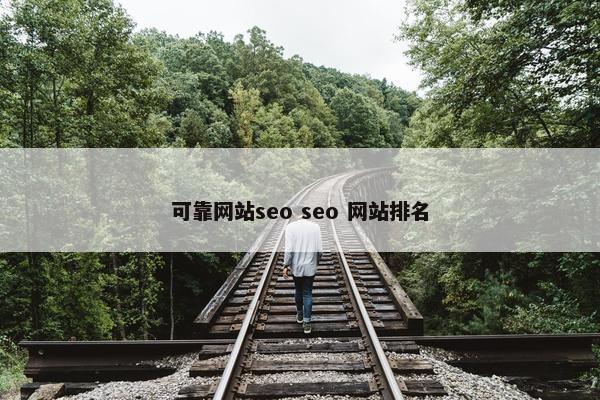 可靠网站seo seo 网站排名