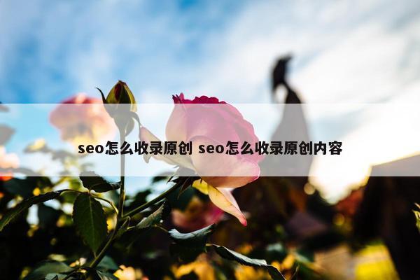 seo怎么收录原创 seo怎么收录原创内容