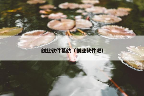 创业软件葛航（创业软件吧）