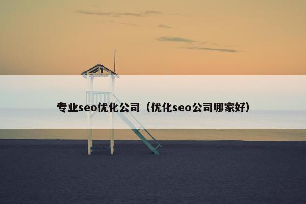 专业seo优化公司（优化seo公司哪家好）