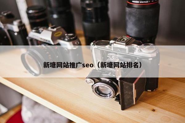 新塘网站推广seo（新塘网站排名）