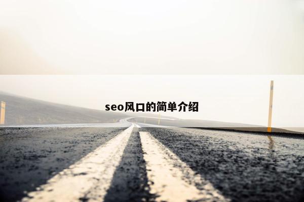 seo风口的简单介绍