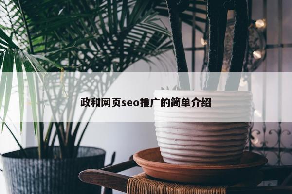 政和网页seo推广的简单介绍