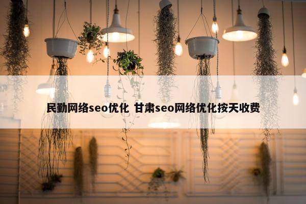 民勤网络seo优化 甘肃seo网络优化按天收费