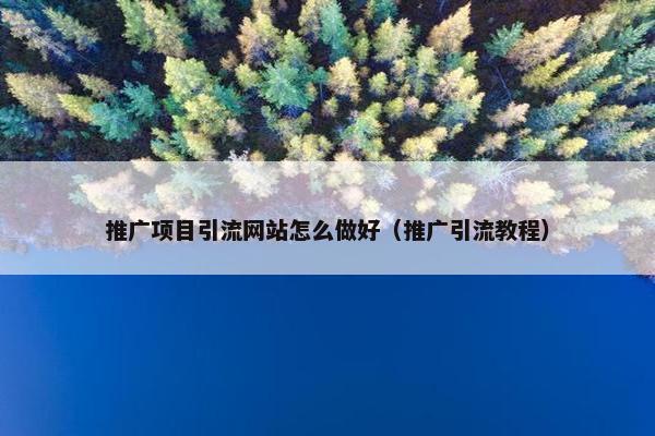 推广项目引流网站怎么做好（推广引流教程）