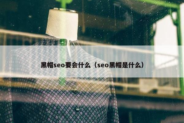 黑帽seo要会什么（seo黑帽是什么）