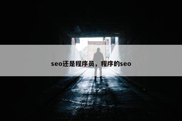 seo还是程序员，程序的seo