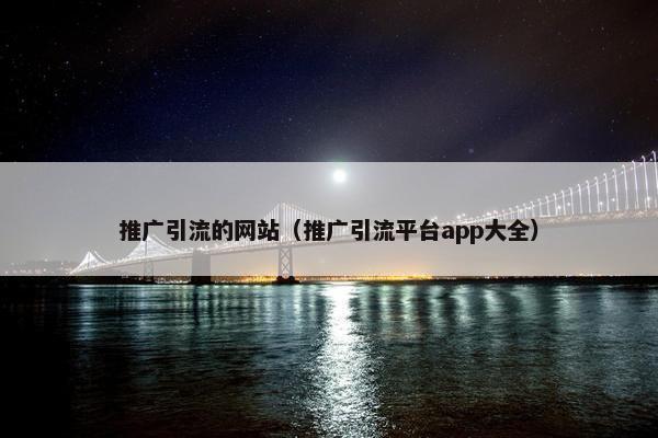 推广引流的网站（推广引流平台app大全）