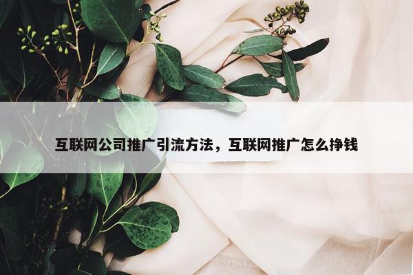 互联网公司推广引流方法，互联网推广怎么挣钱