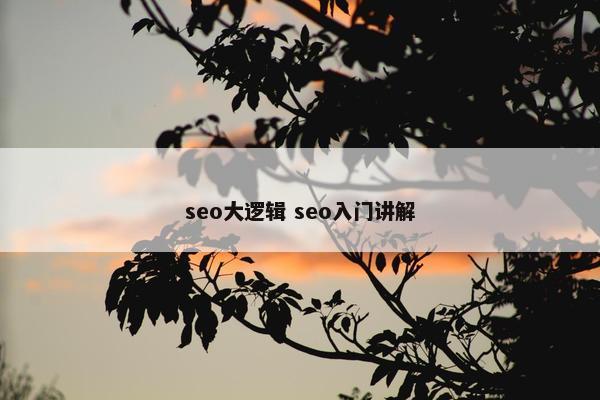 seo大逻辑 seo入门讲解