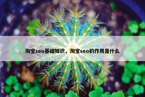 淘宝seo基础知识，淘宝seo的作用是什么