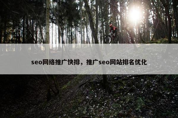 seo网络推广快排，推广seo网站排名优化