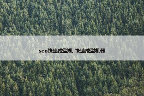 seo快速成型机 快速成型机器