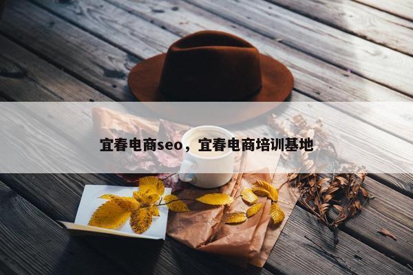 宜春电商seo，宜春电商培训基地