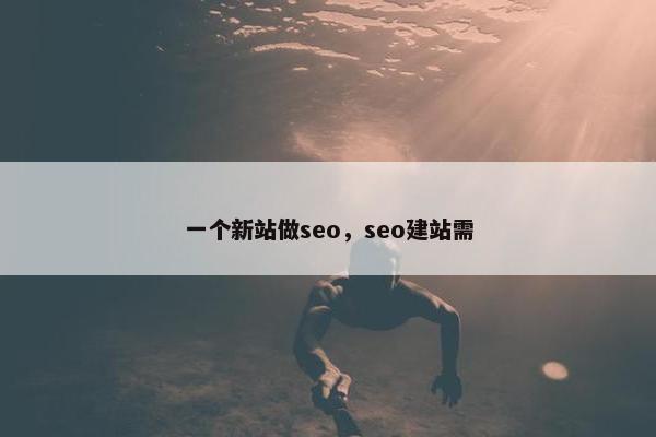 一个新站做seo，seo建站需