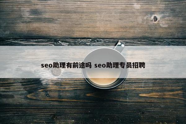 seo助理有前途吗 seo助理专员招聘