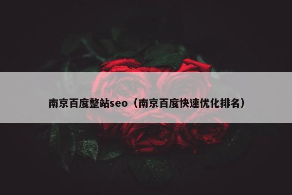 南京百度整站seo（南京百度快速优化排名）