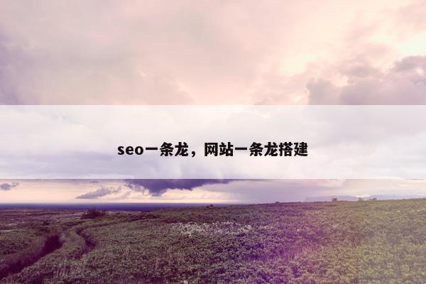 seo一条龙，网站一条龙搭建