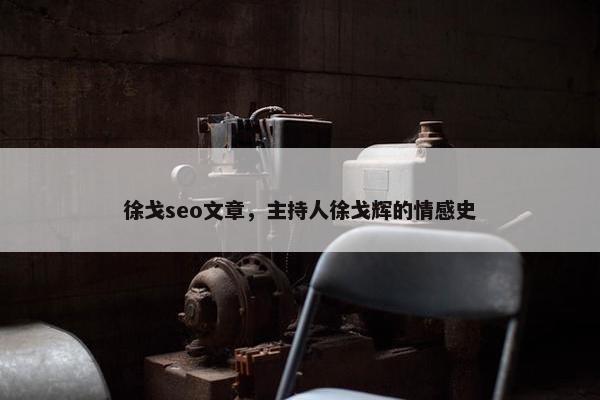 徐戈seo文章，主持人徐戈辉的情感史