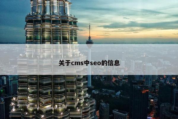 关于cms中seo的信息