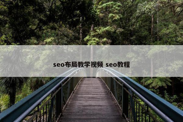 seo布局教学视屏 seo教程