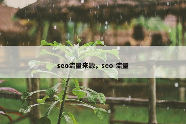 seo流量来源，seo 流量