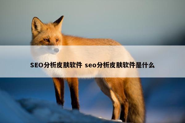 SEO分析皮肤软件 seo分析皮肤软件是什么