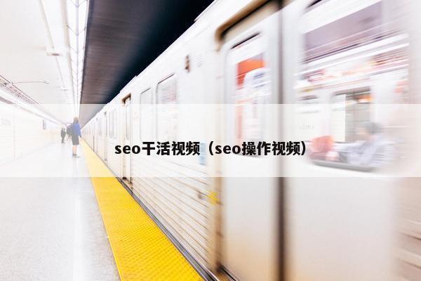 seo干活视屏（seo操作视屏）