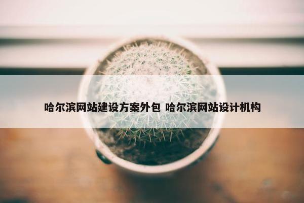 哈尔滨网站建设方案外包 哈尔滨网站设计机构