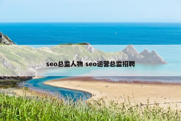 seo总监人物 seo运营总监招聘