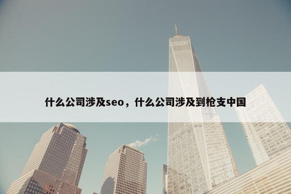 什么公司涉及seo，什么公司涉及到枪支中国