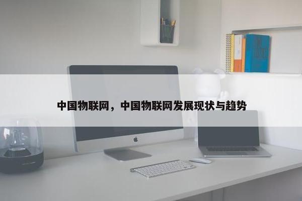 中国物联网，中国物联网发展现状与趋势