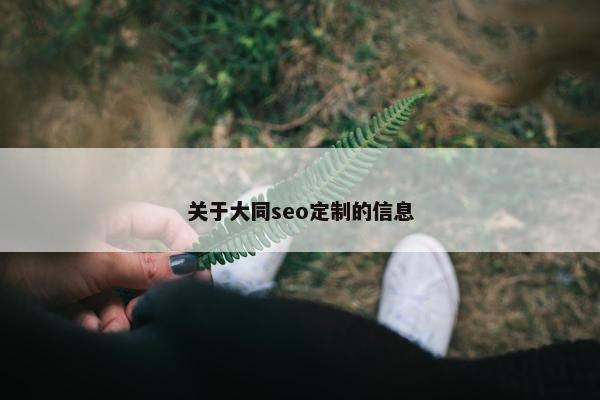 关于大同seo定制的信息