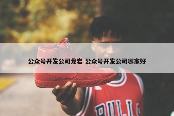 公众号开发公司龙岩 公众号开发公司哪家好