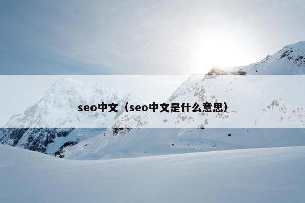 seo中文（seo中文是什么意思）