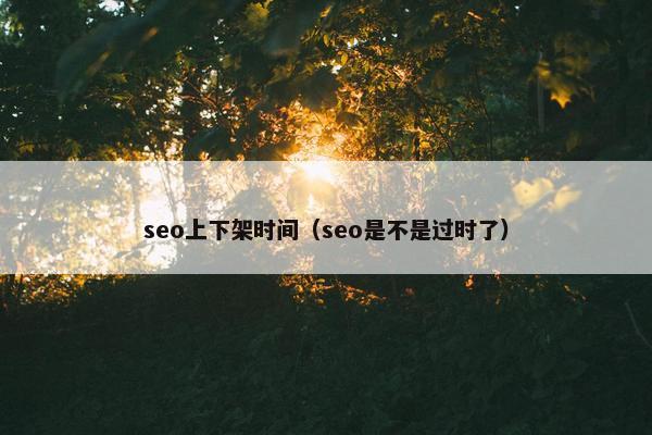 seo上下架时间（seo是不是过时了）