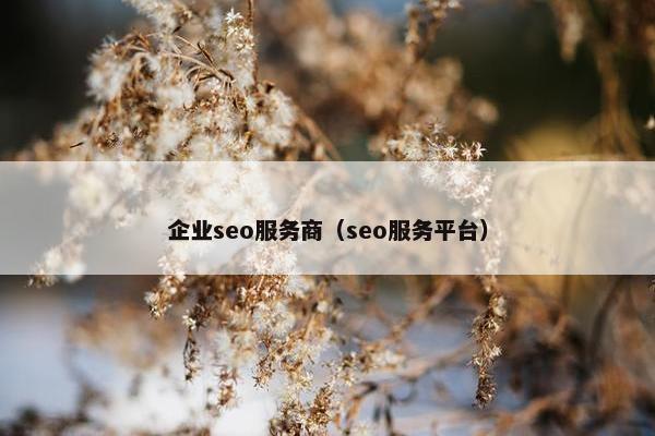 企业seo服务商（seo服务平台）