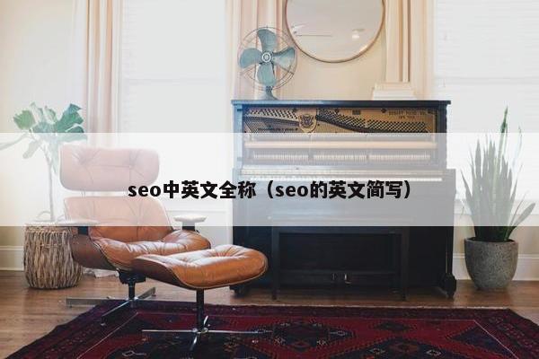 seo中英文全称（seo的英文简写）