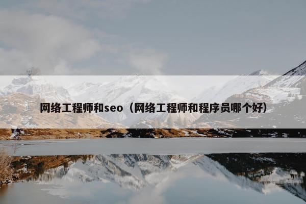 网络工程师和seo（网络工程师和程序员哪个好）