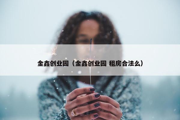 金鑫创业园（金鑫创业园 租房he发么）