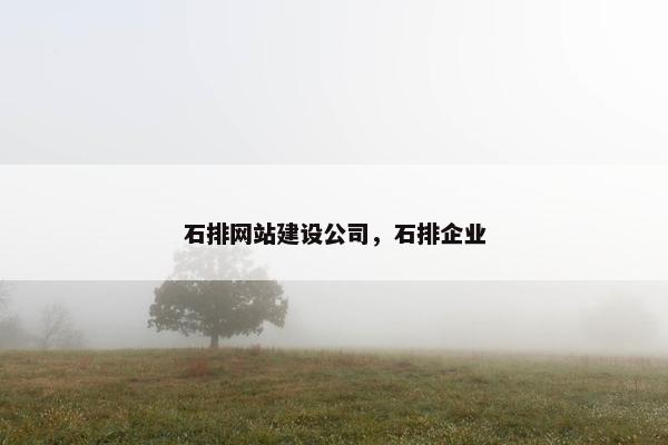 石排网站建设公司，石排企业