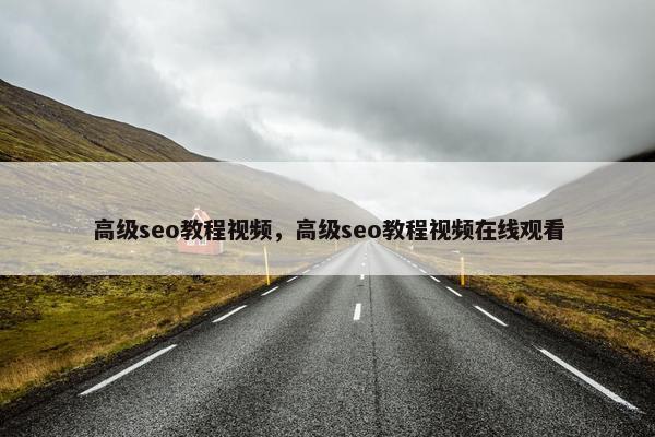 高级seo教程视屏，高级seo教程视屏可以找地方看