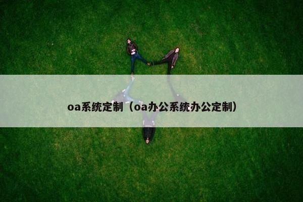 oa系统定制（oa办公系统办公定制）