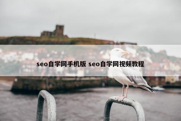 seo自学网手机版 seo自学网视屏教程